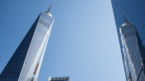 纽约推出建筑法案保护鸟类